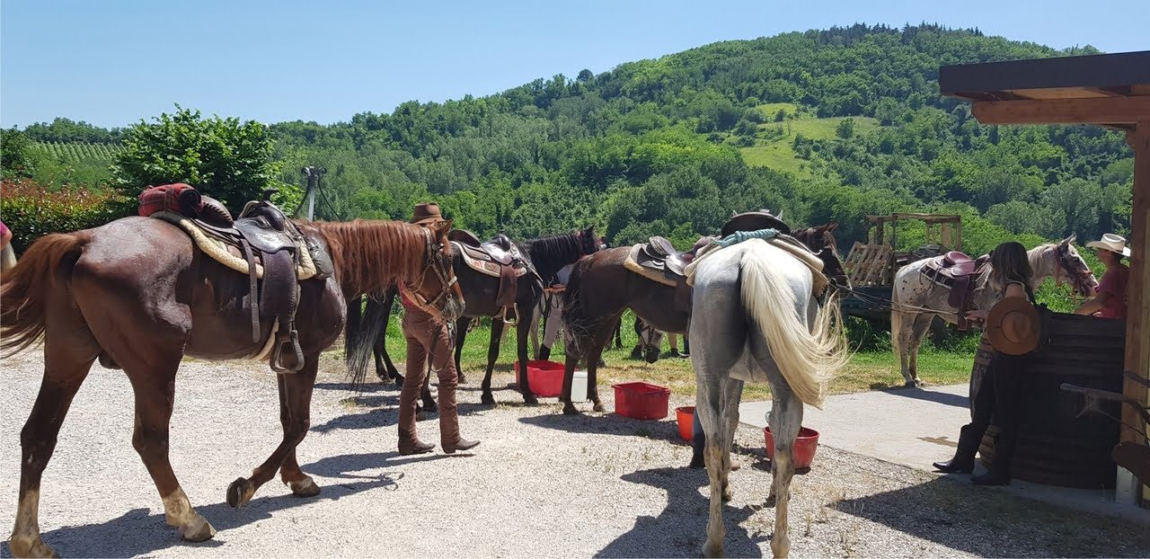 Agriturismo Le Lucciole