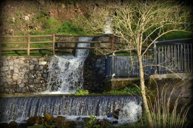 23_10_17-02_26_54-m62742c1c6cee0a9269a8359ee9f2ba3