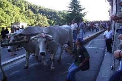 23_10_17-02_49_21-A6e86a2c7c414692f58ee597a8f25f4f