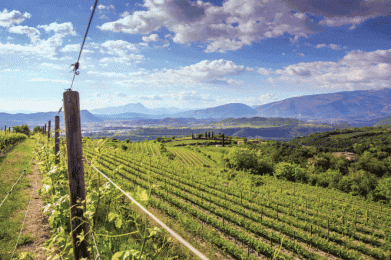 2926-Valpolicella