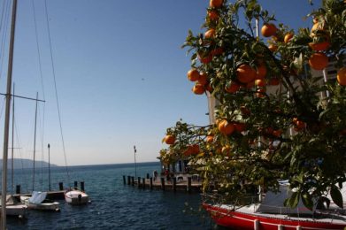 30_05_18-10_16_57-m035fb8dbaffbf45b5a0ebaa1e459a16