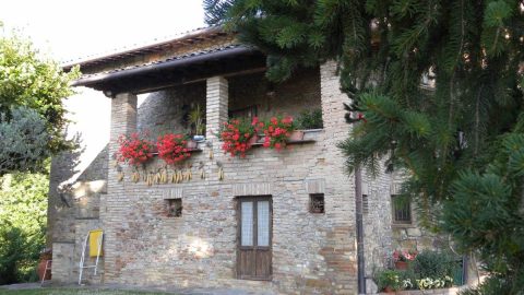 Azienda Agricola Bistarelli