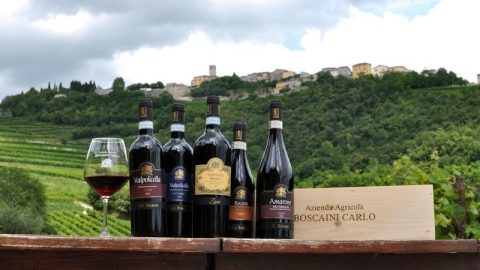 Azienda Agricola Boscaini Carlo