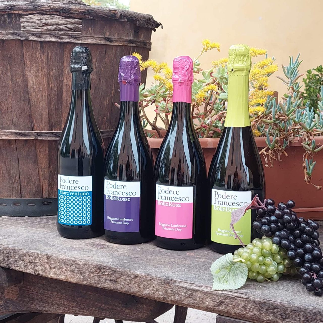 Azienda Agricola Podere Francesco