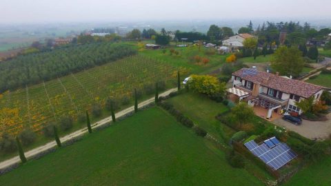 Azienda agricola biologica Nardini Loretta
