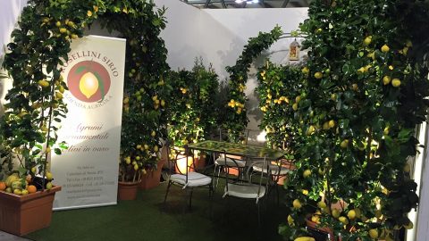 Azienda Agricola Rosellini Sirio
