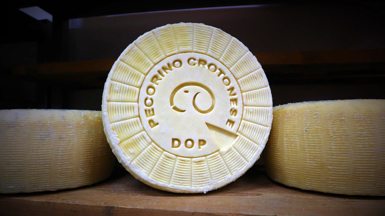 Consorzio Pecorino Crotonese DOP