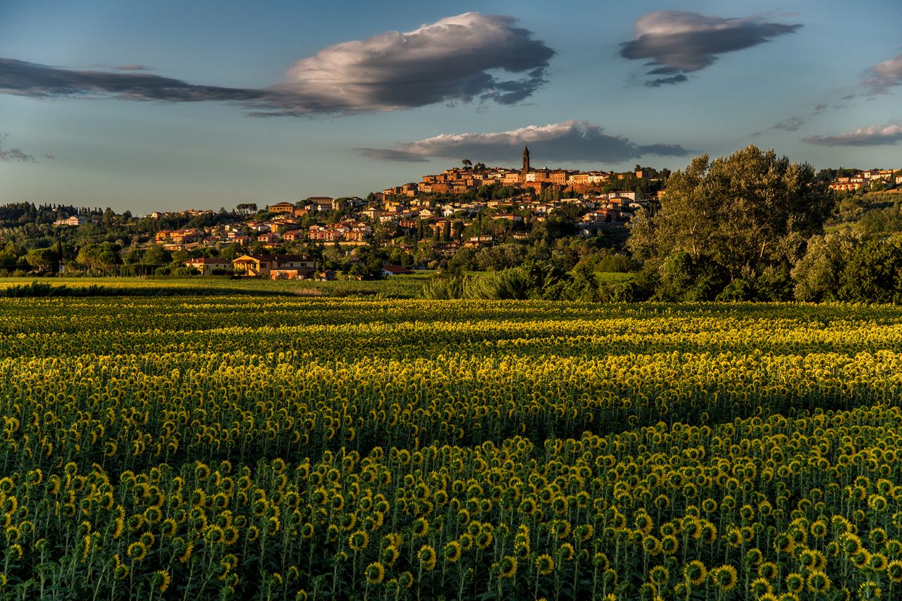 Peccioli trionfa: Il ‘Borgo dei Borghi’ del 2024