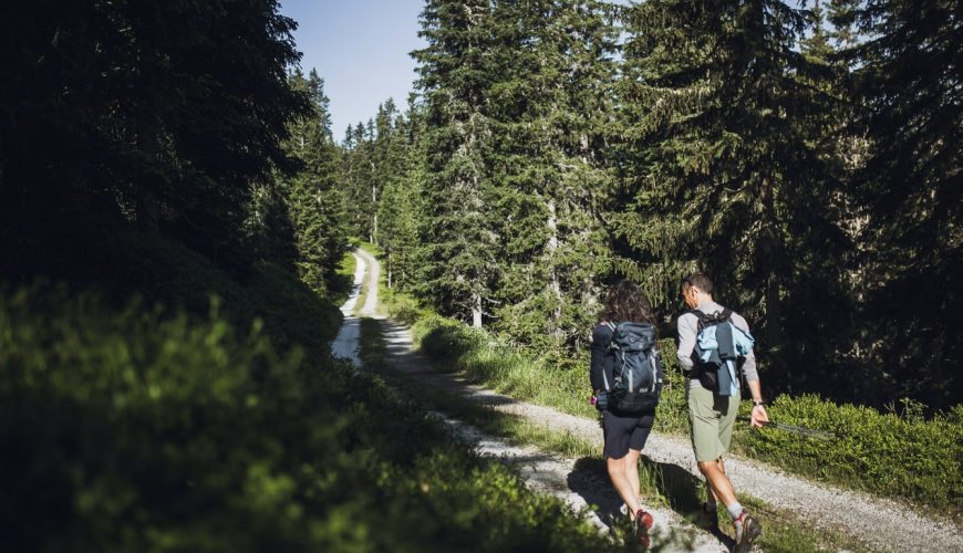 Racines in Alto Adige: esplora la primavera in montagna