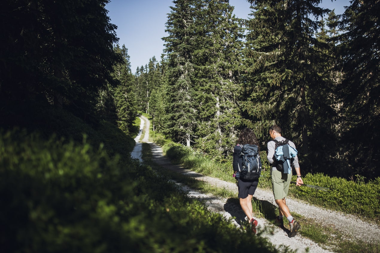 Racines in Alto Adige: esplora la primavera in montagna