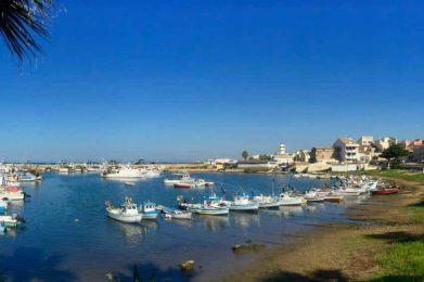 Scoglitti