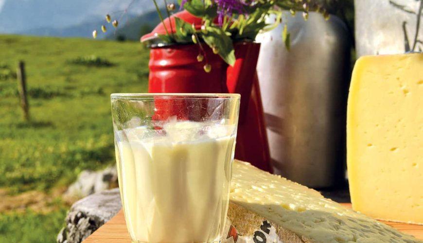 Scopri Moena: patria del formaggio Puzzone