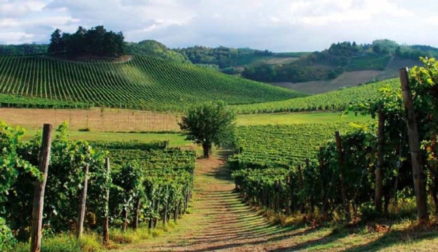 5 imperdibili borghi del vino