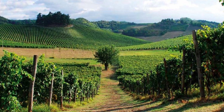 5 imperdibili borghi del vino