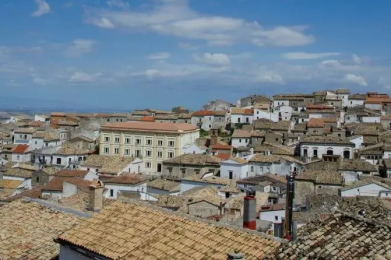 Bovino