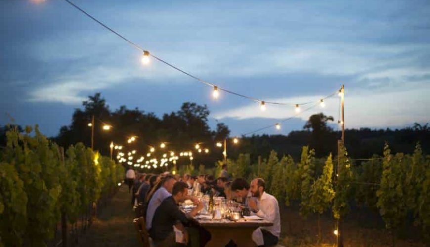 Friuli-Venezia Giulia, cena in vigna