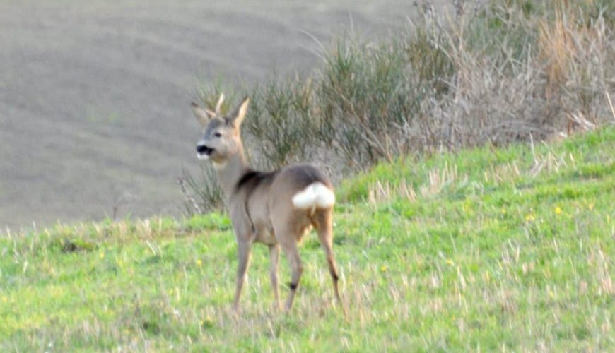 I Monti Sibillini, un luogo incantato nelle Marche tra grotte magiche, fate e unicorni