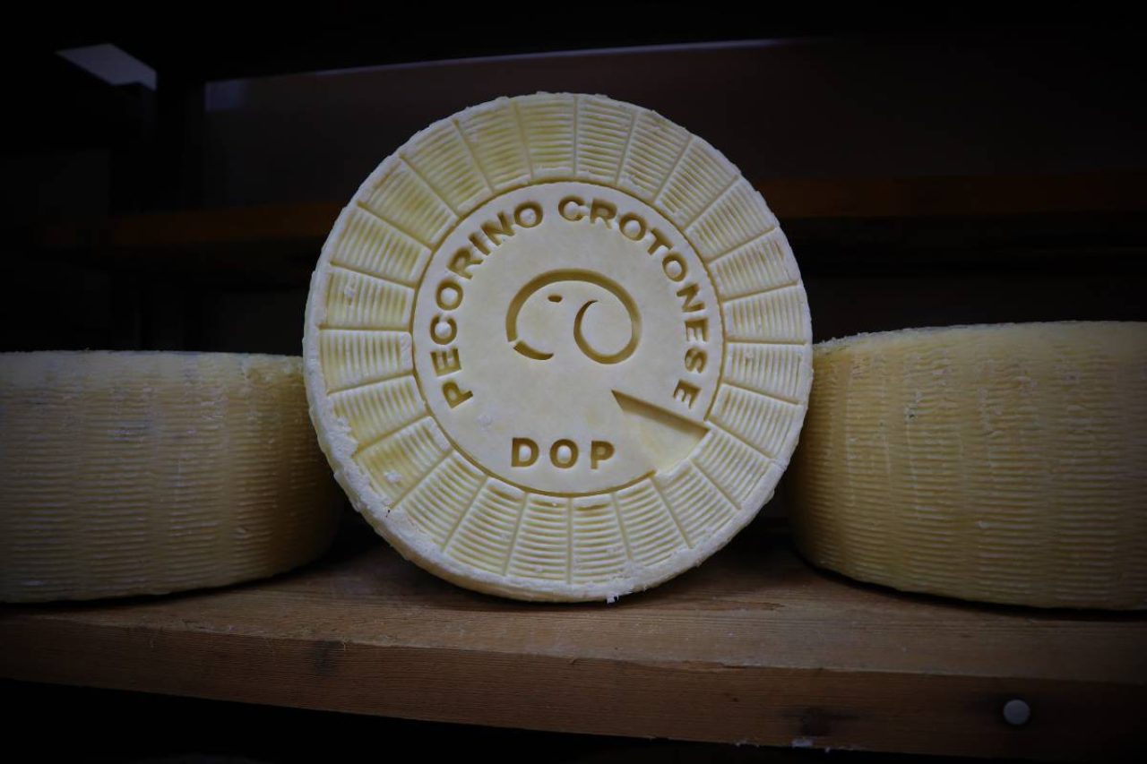 Pecorino Crotonese DOP Calabrialleva