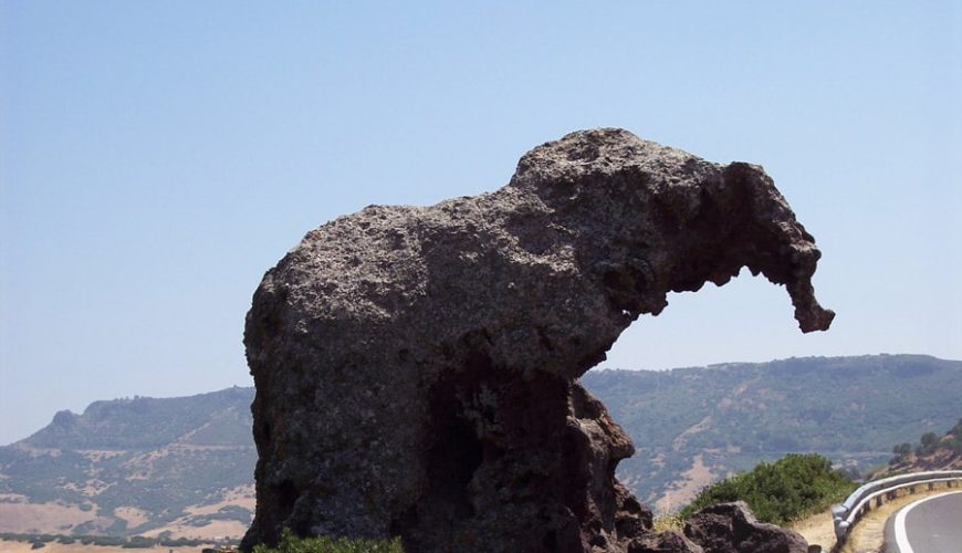 La Roccia dell’Elefante di Castelsardo e le sue “domus de janas”