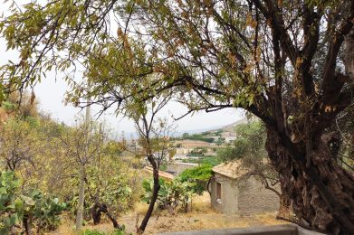 Nella-natura-a-Borgo-Nocille