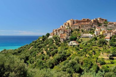 Pisciotta