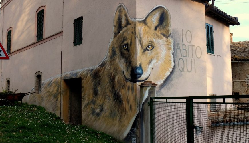 Un affascinante viaggio attraverso la Street Art nei borghi marchigiani
