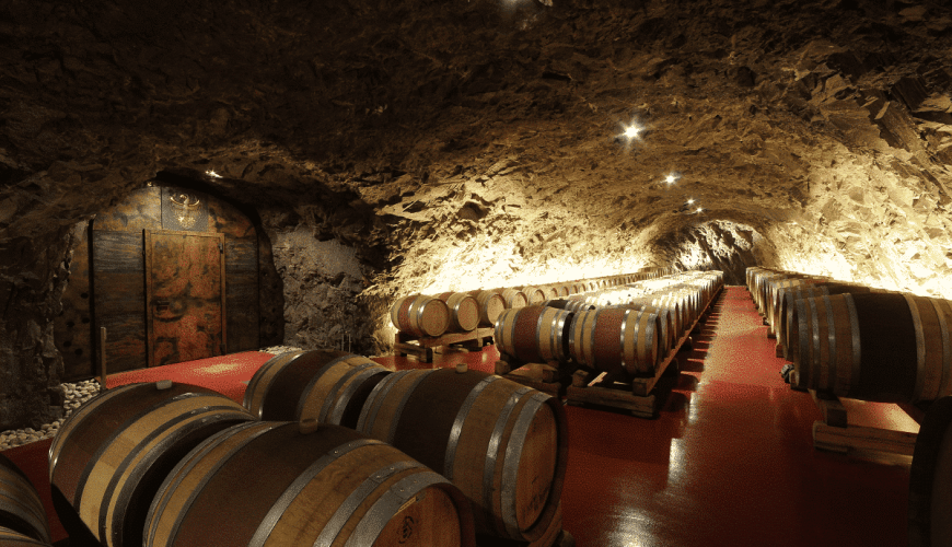 Una sosta alla Cantina Laimburg lungo la Strada del Vino dell’Alto Adige
