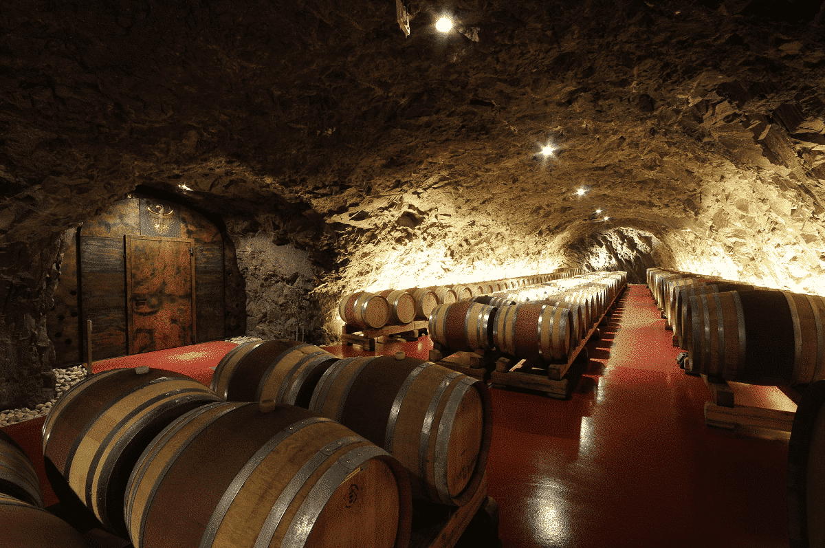 Una sosta alla Cantina Laimburg lungo la Strada del Vino dell’Alto Adige