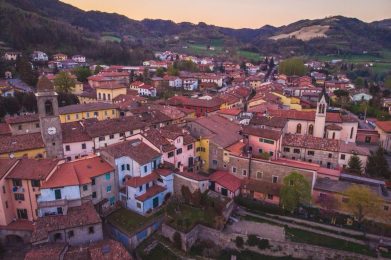 Galeata