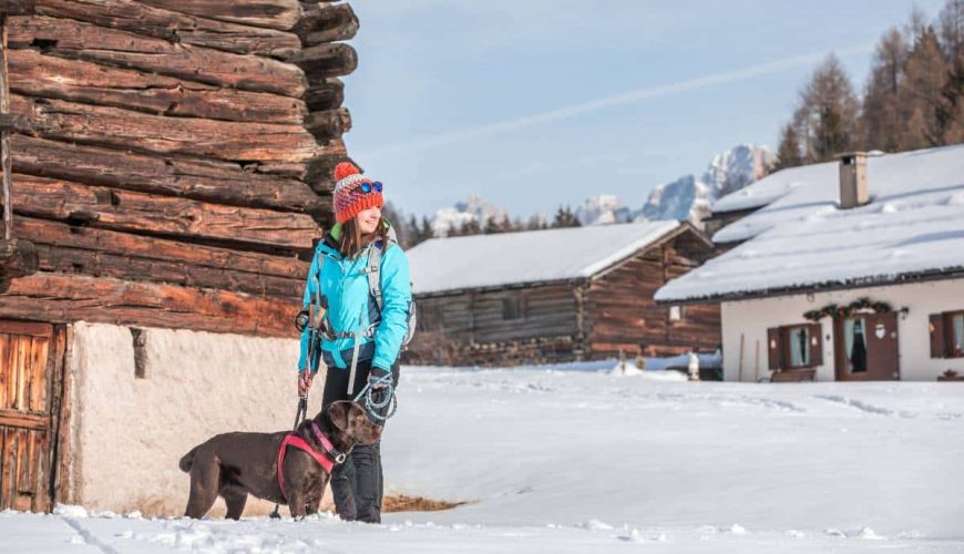 Val di Fiemme: Il tuo spazio bianco in un respiro di benessere