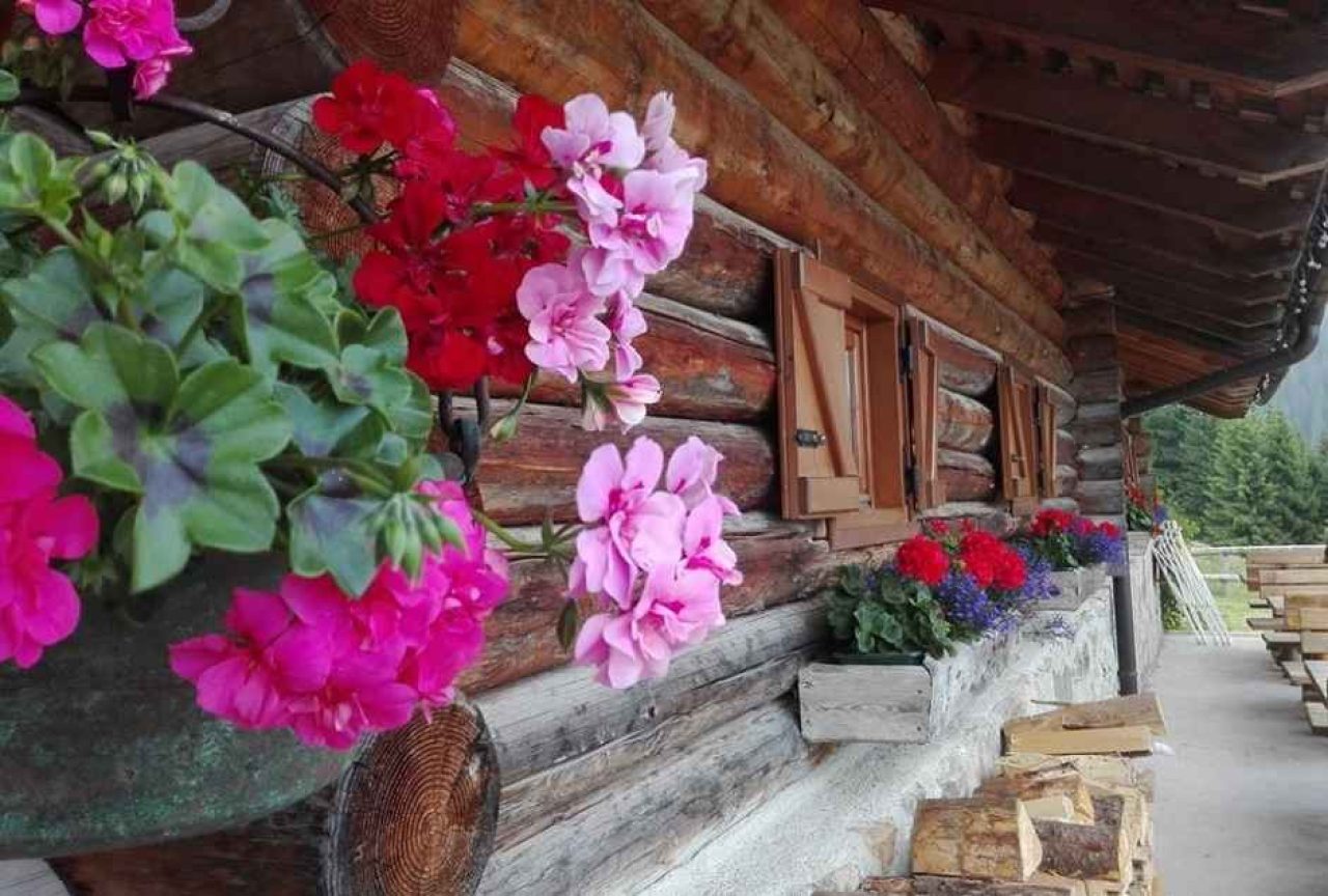 Agritur Malga Lozen
