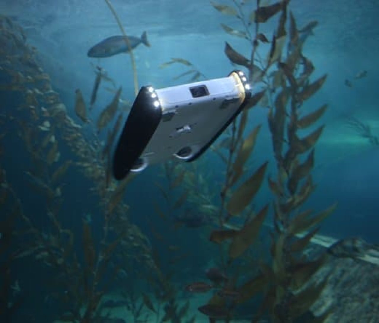 Aquarium Mondo Marino