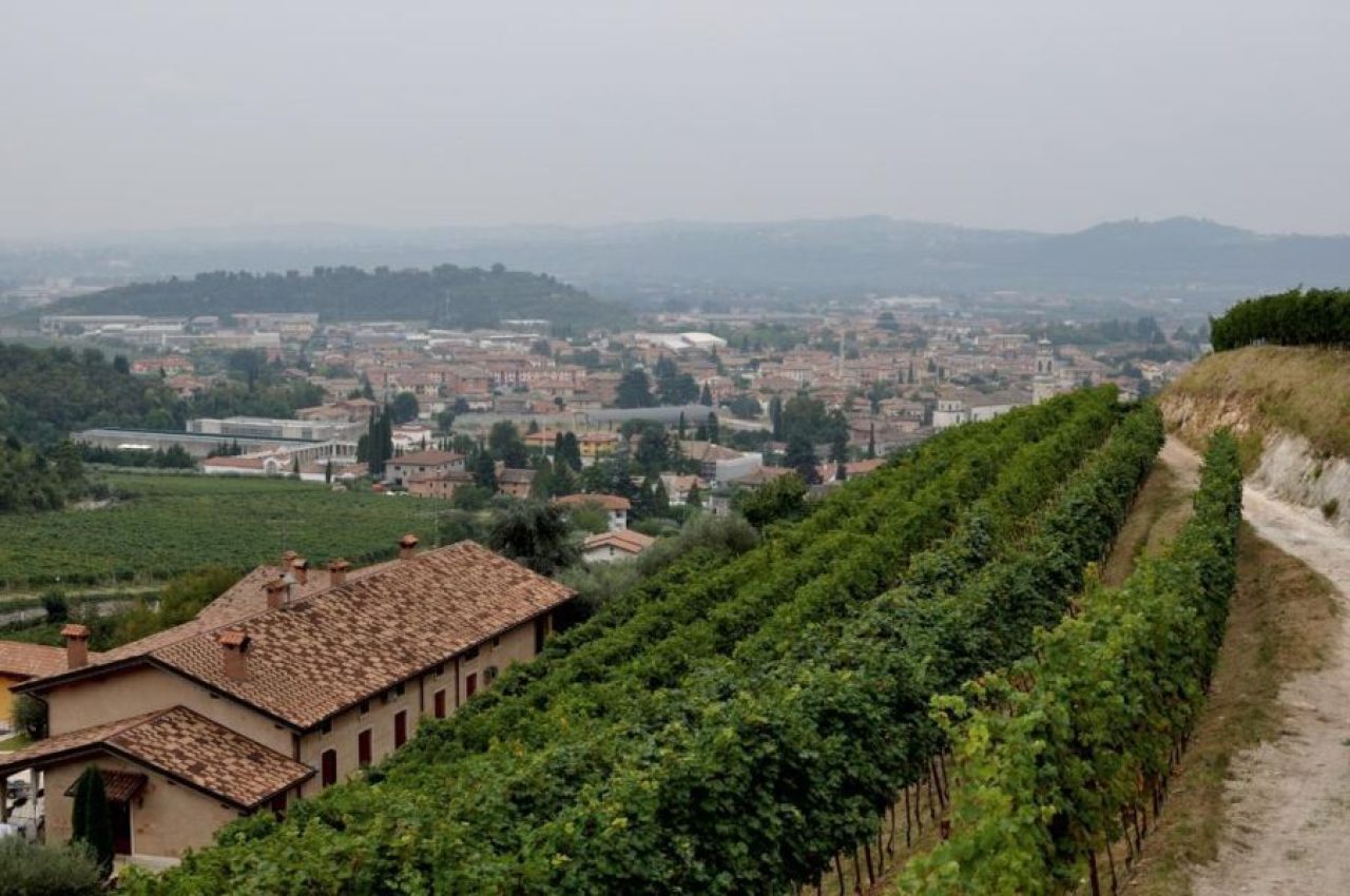Azienda Agricola Boscaini Carlo