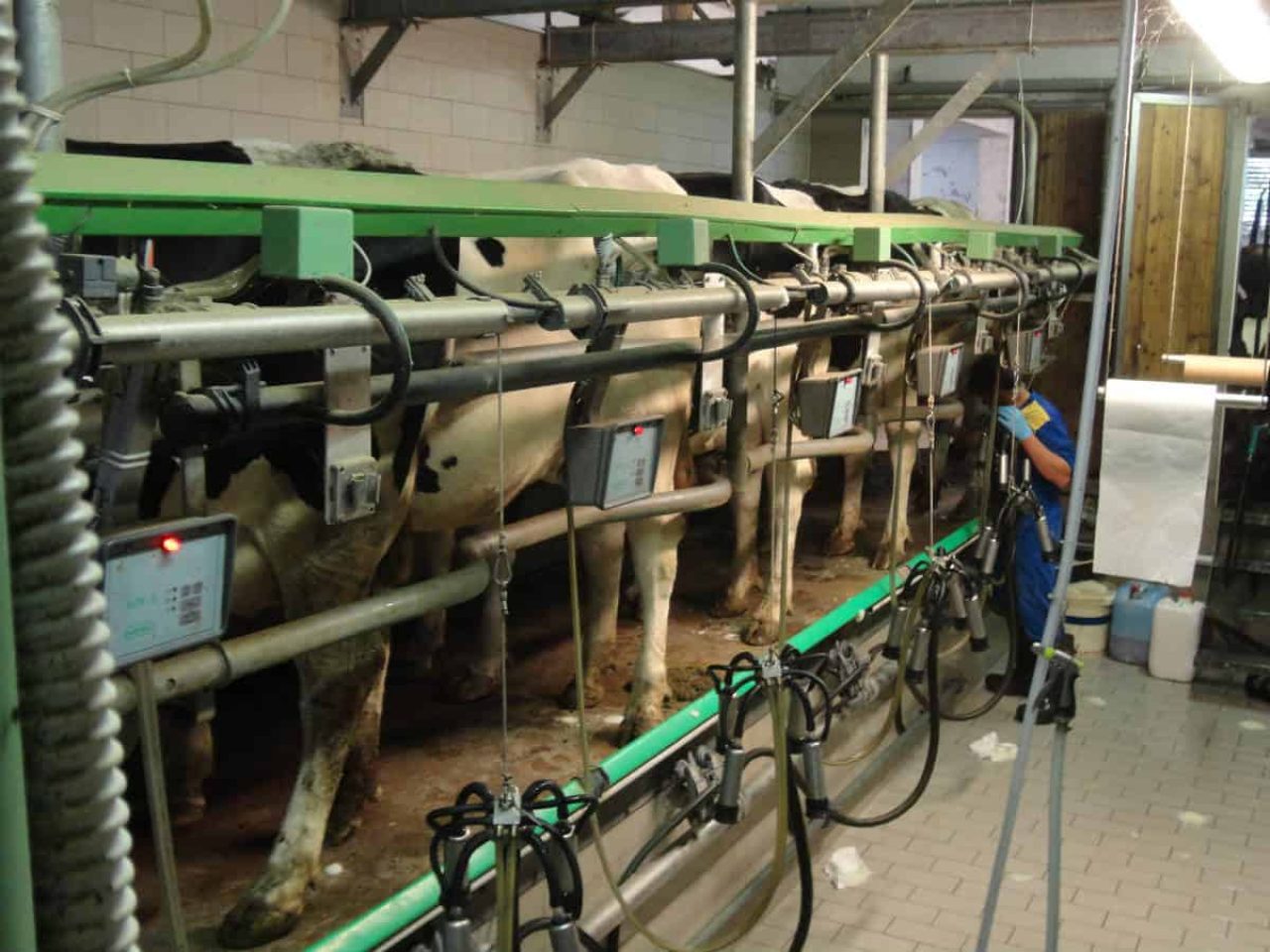 Azienda Agricola Fontanèl