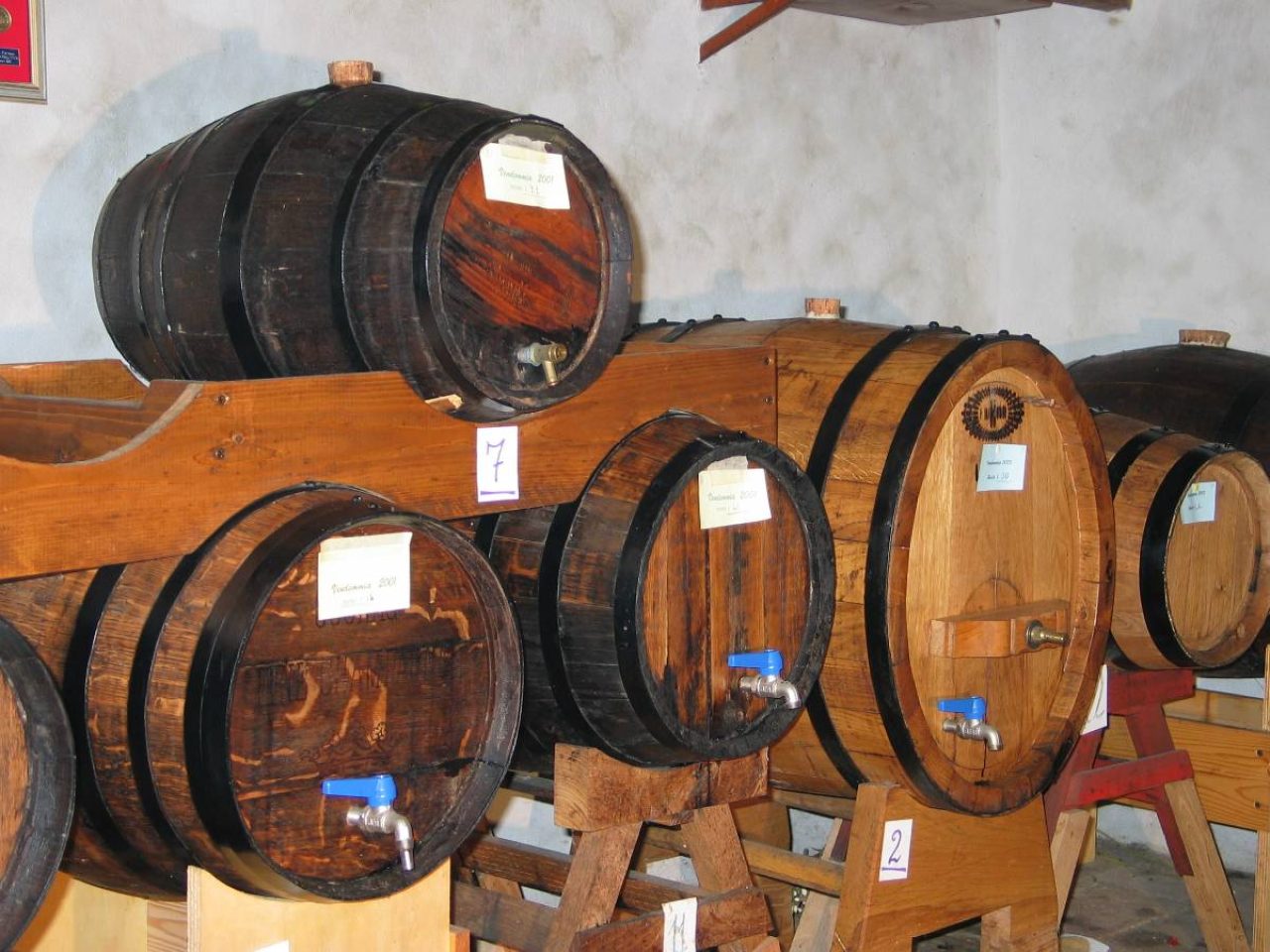 Azienda Agricola Bistarelli