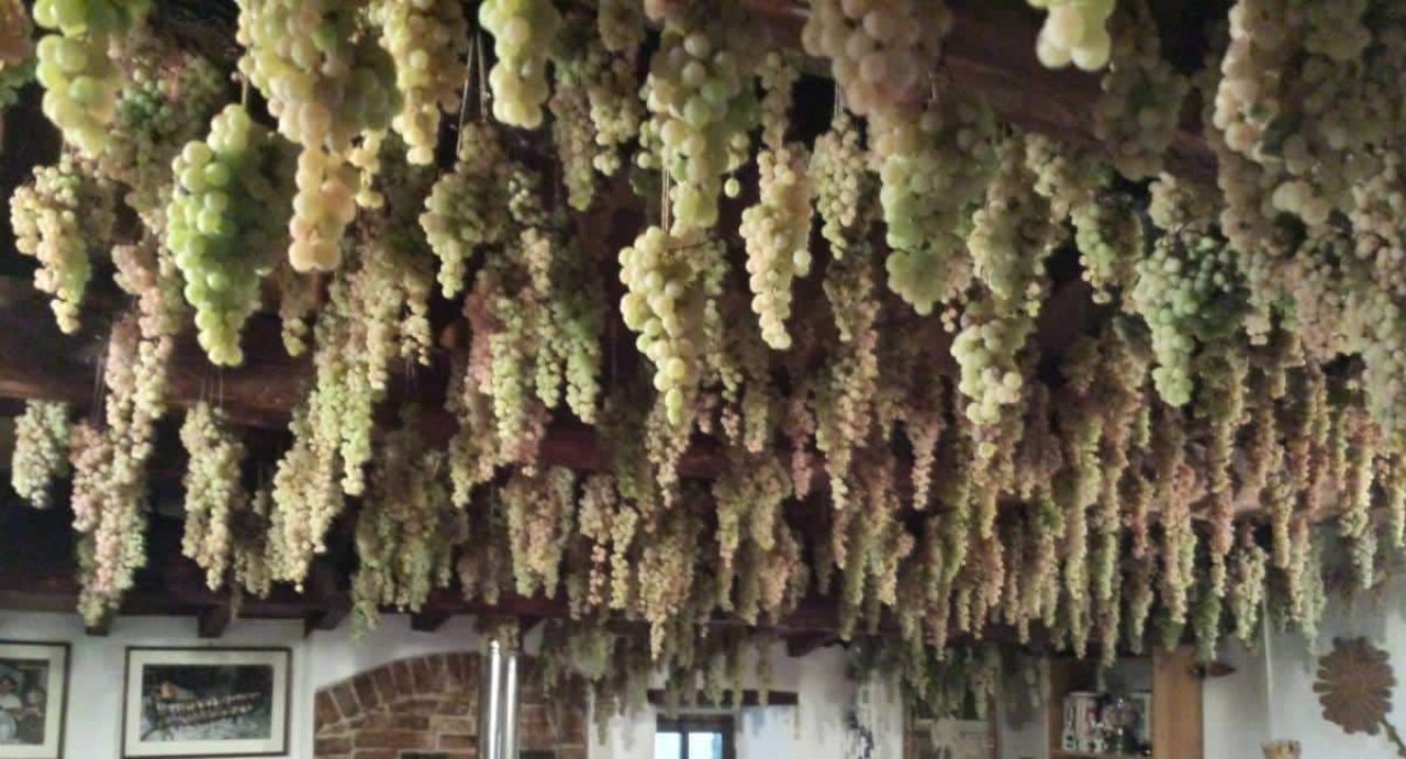 Azienda Agricola Bistarelli