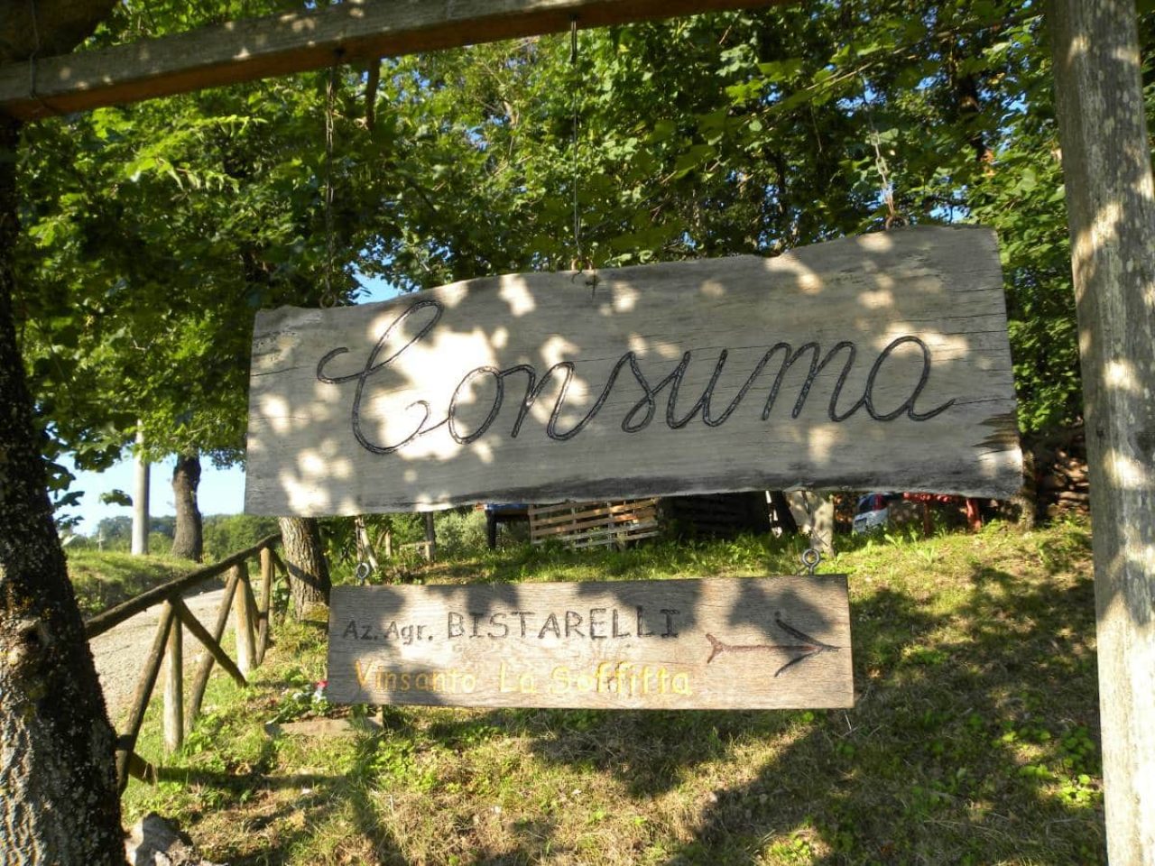 Azienda Agricola Bistarelli