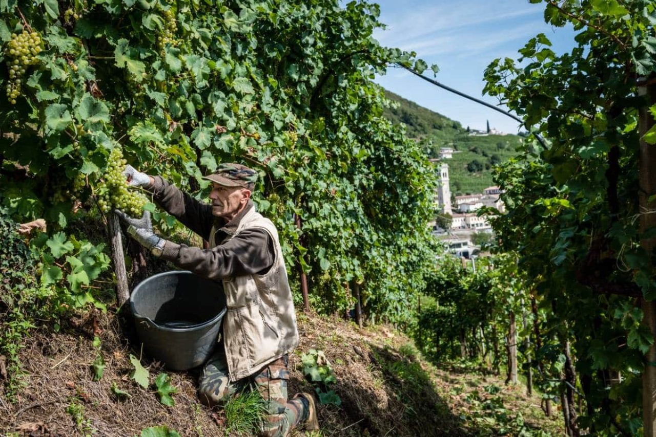 Cantina Col Vetoraz