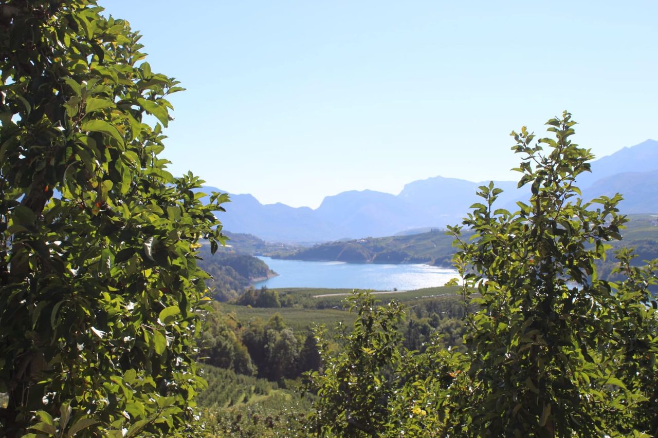 Azienda Agricola El Zeremia
