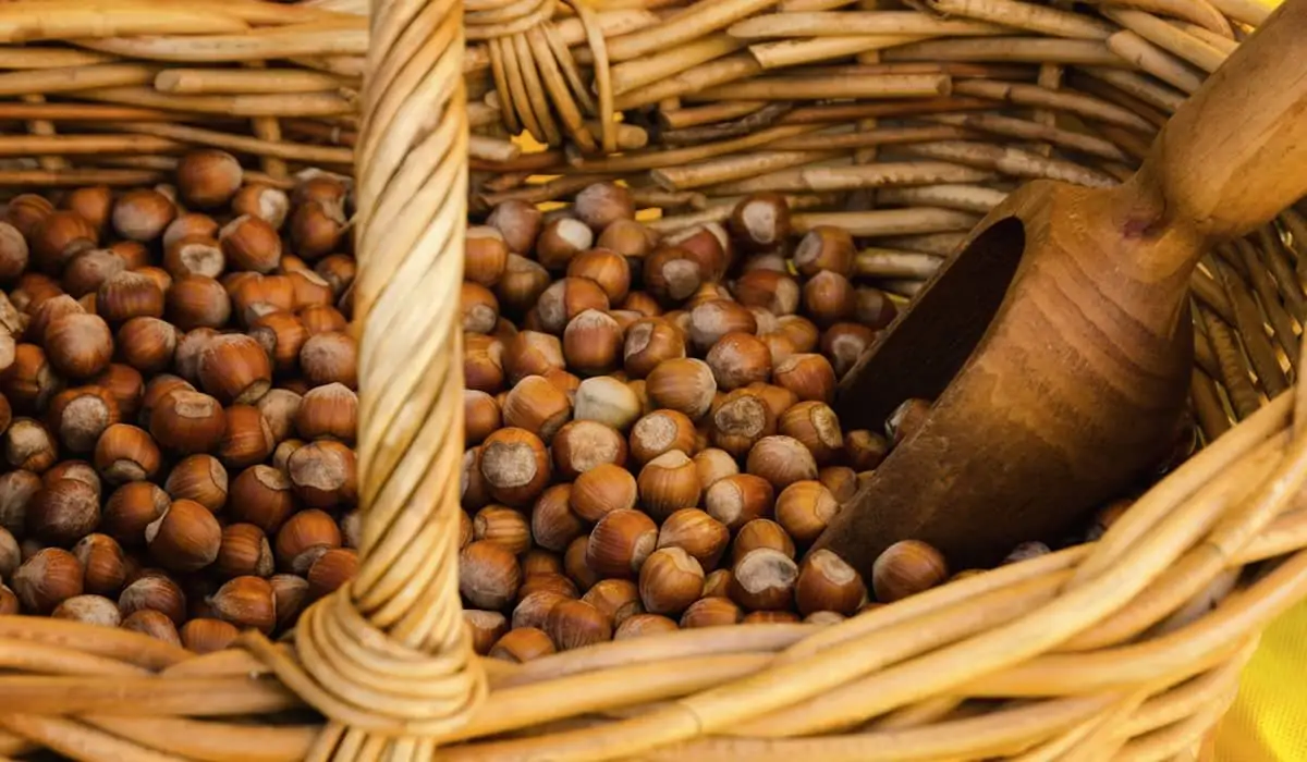 Fiera della nocciola a Castagnole Lanze