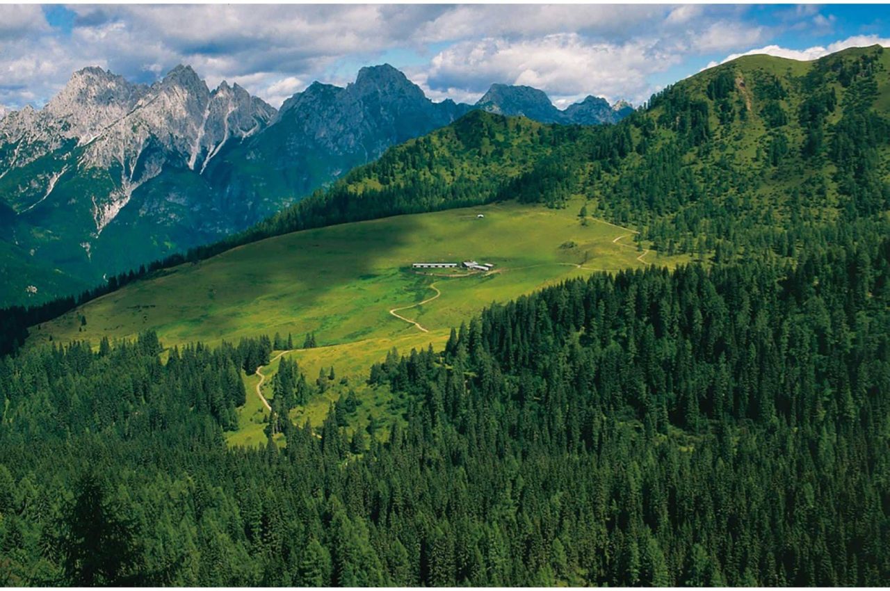 Malga Alta Carnia