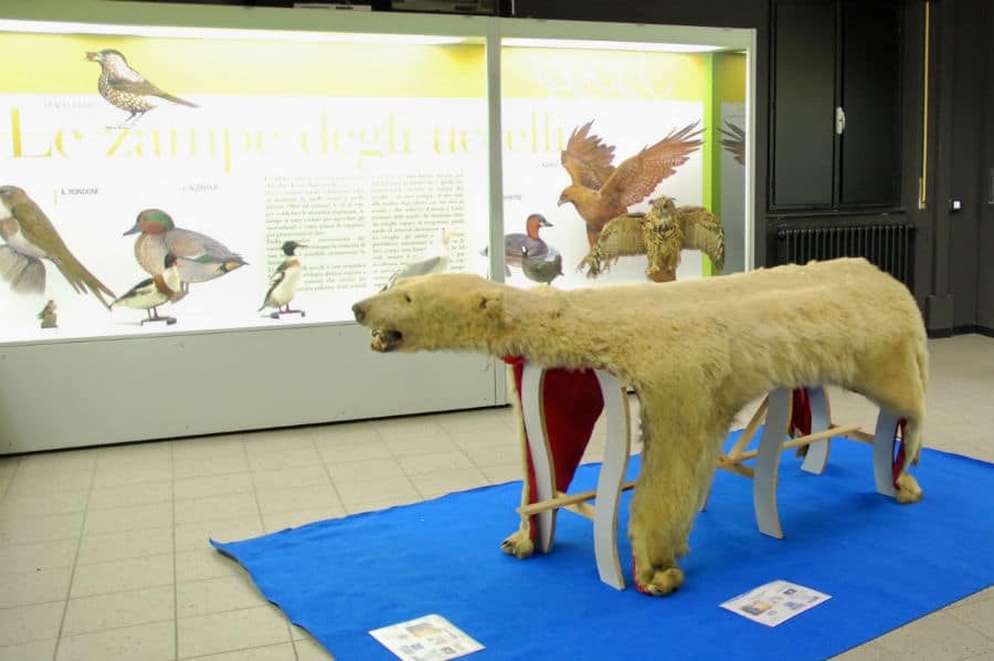 Museo Civico Ornitologico Luigi Scanagatta