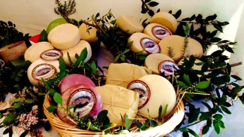 Azienda agricola Pucciotti Fabrizio