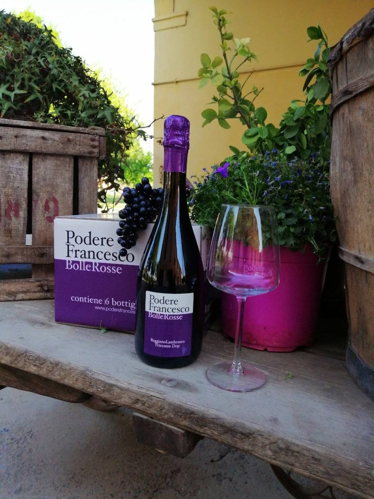 Azienda Agricola Podere Francesco