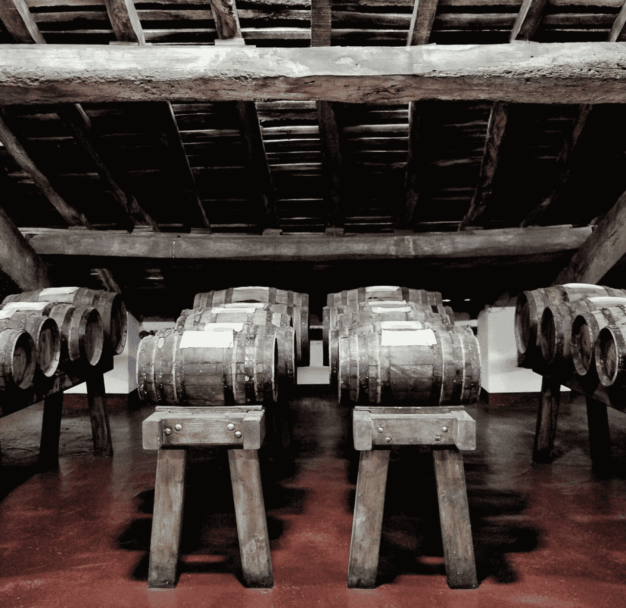 Azienda Agricola Podere Francesco