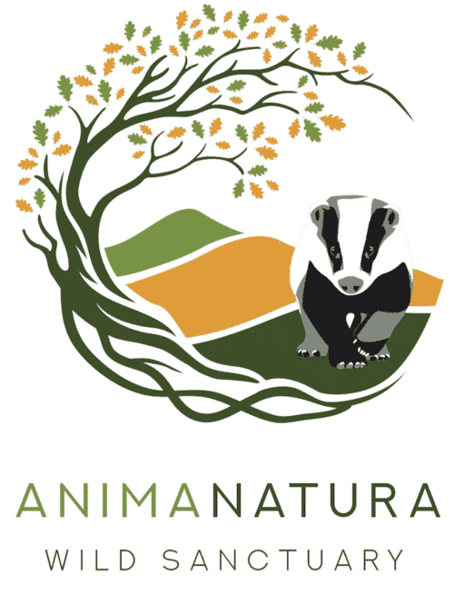 Animanatura – Wild Sanctuary