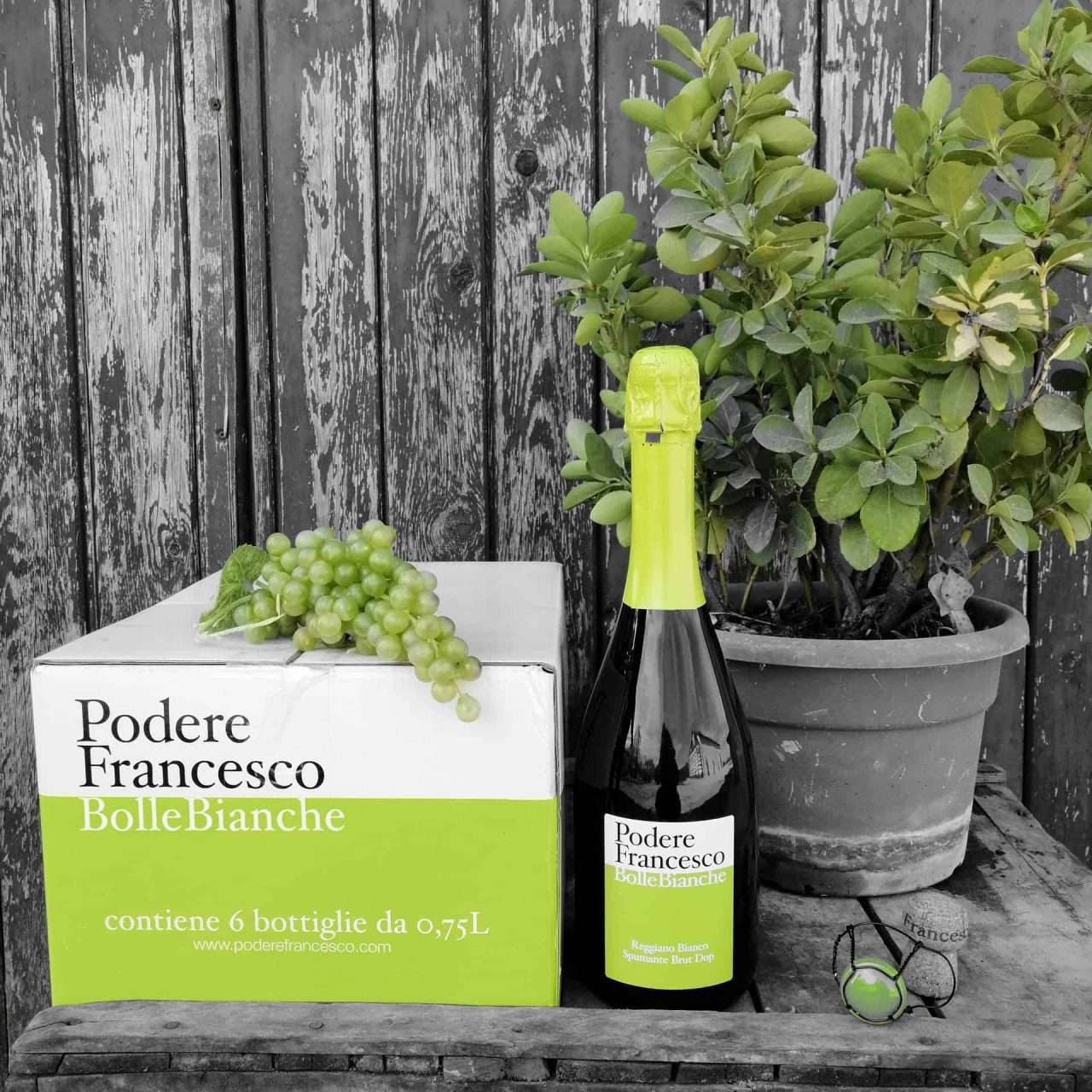 Azienda Agricola Podere Francesco