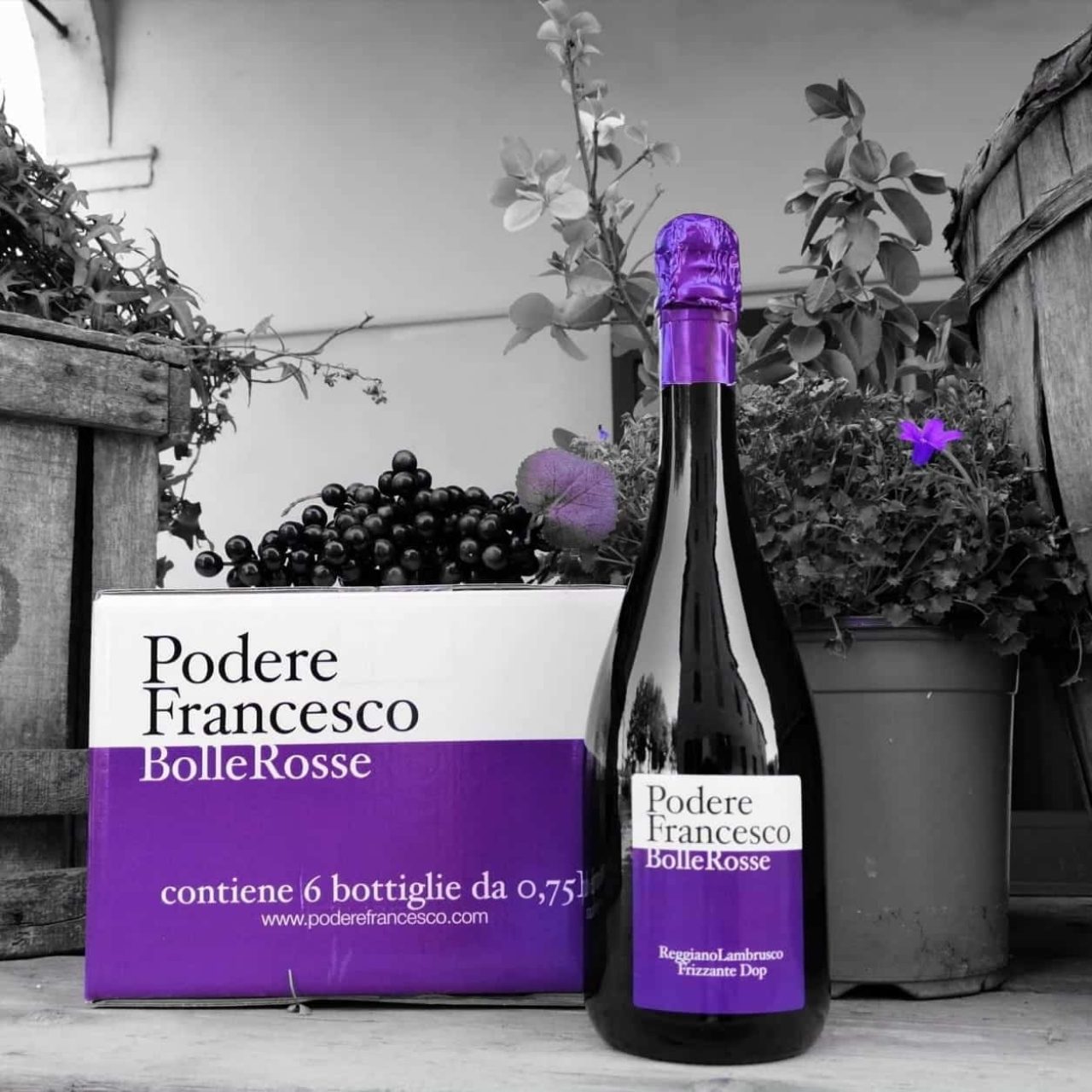 Azienda Agricola Podere Francesco