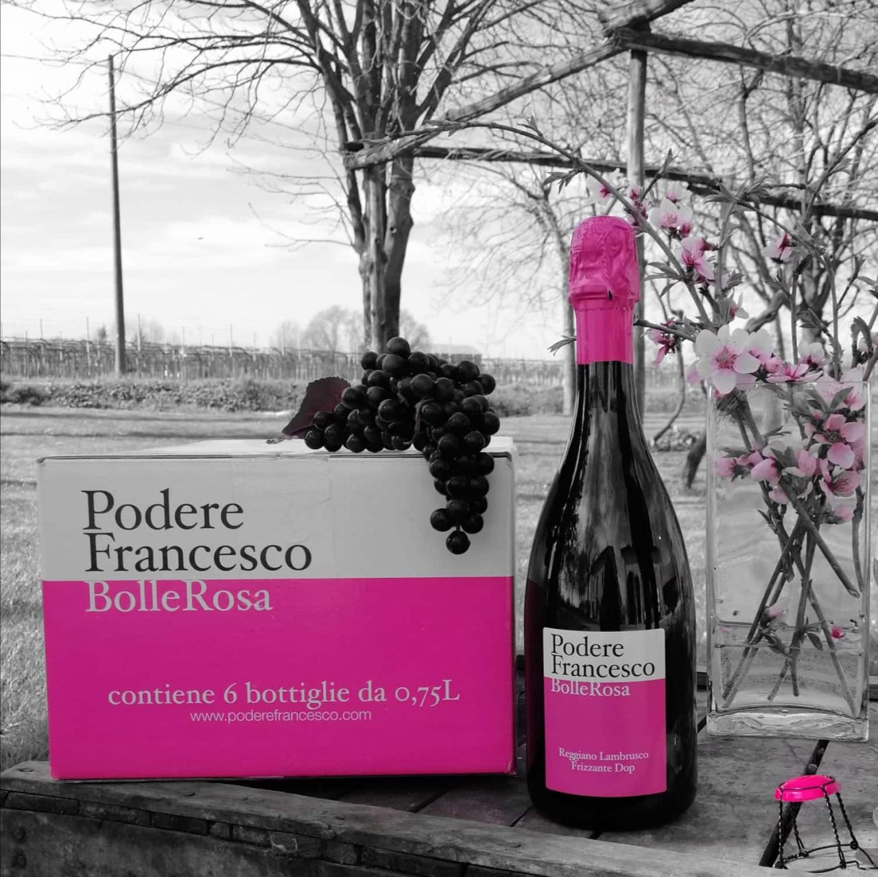 Azienda Agricola Podere Francesco