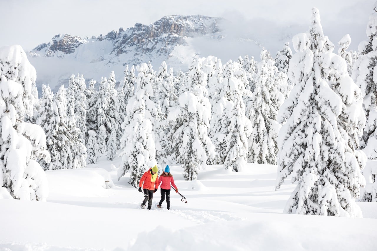 Fiemme Cembra Guest Card: Le tue esperienze di ‘NEVESSERE’
